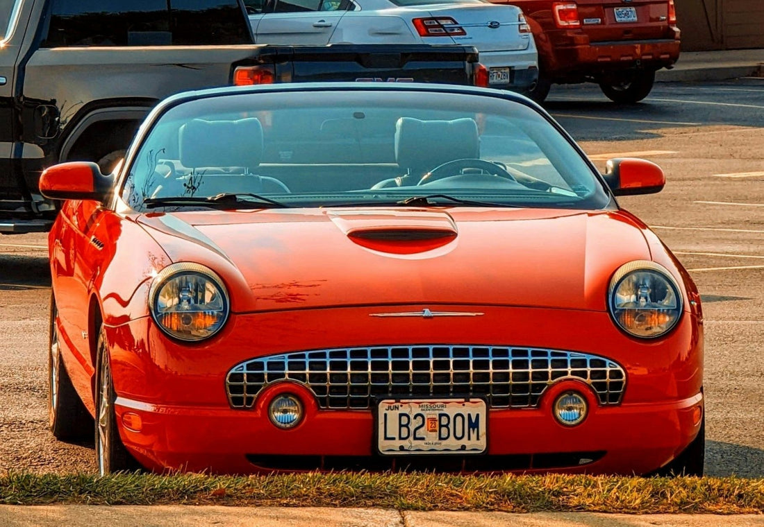 Ford Thunderbird FEM Repair Guide (2002-2005)